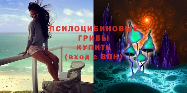 спиды Бежецк