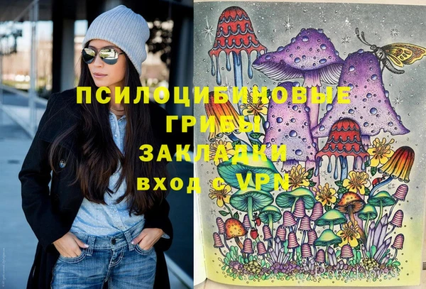 2c-b Нязепетровск