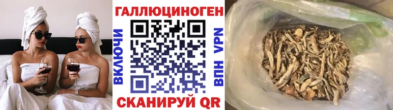 Галлюциногенные грибы Psilocybe  hydra   Удомля 