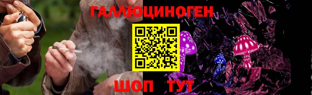 Псилоцибиновые грибы мухоморы  Удомля 